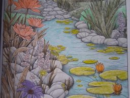 whatsapp bild 2025-10-06 um 10.27.47_3480b025